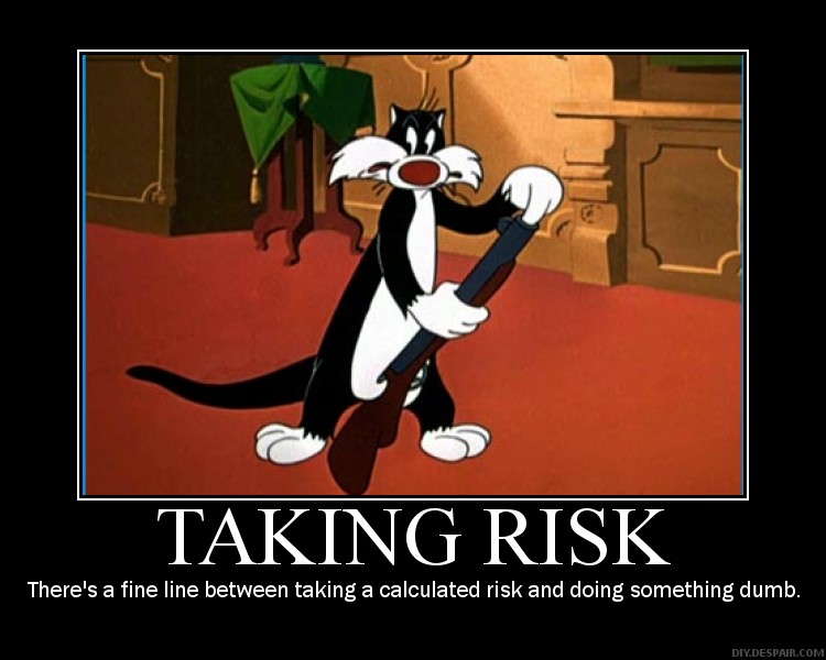 Funny Quotes About Risk. QuotesGram