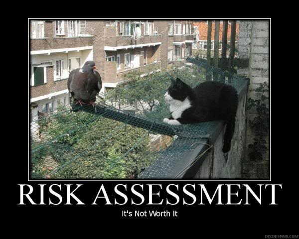 Risk Management Funny Quotes. QuotesGram